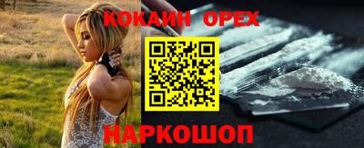 стаф Кингисепп