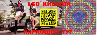стаф Кингисепп