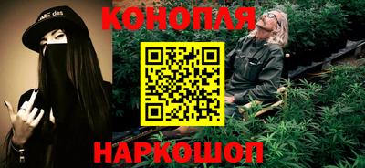 стаф Кингисепп