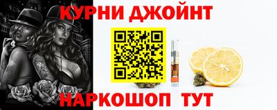 стаф Кингисепп