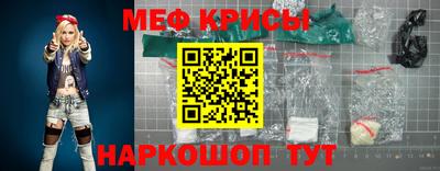 стаф Кингисепп
