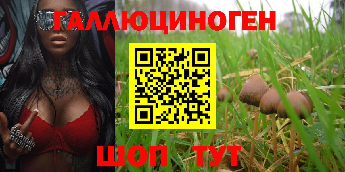 Галлюциногенные грибы MAGIC MUSHROOMS Кувандык